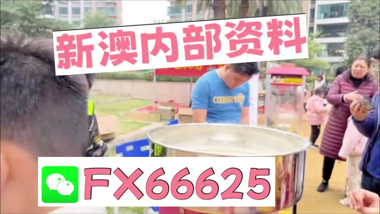 新奧2025正版資料大全，全面解析與深度探索，新奧2025正版資料大全，全面解析與深度探索揭秘