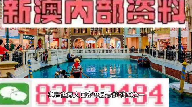 澳門王中王正版游戲，探索未來的新篇章（2025年展望），澳門王中王正版游戲，探索未來新篇章，展望2025年發(fā)展