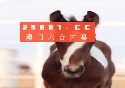 澳門一肖一碼狀元紅，揭秘彩票背后的秘密與策略，澳門彩票揭秘，狀元紅背后的秘密與策略解析