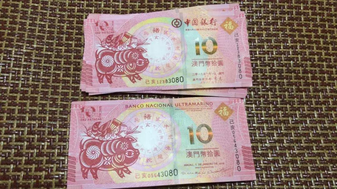 新澳門生肖走勢圖，深度解析與預(yù)測，澳門生肖走勢圖深度解析及預(yù)測報告
