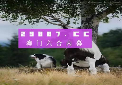 澳門(mén)天天空彩官網(wǎng)資料，探索彩票世界的門(mén)戶，澳門(mén)天天空彩官網(wǎng)資料，彩票世界探索門(mén)戶