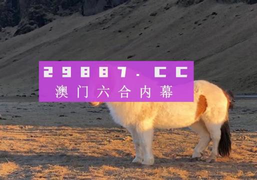 澳門天天彩資料正版免費特色快8，探索彩票世界的魅力與機遇，澳門天天彩正版特色快8，彩票世界的魅力與機遇探索