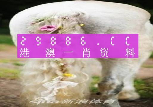 澳門(mén)羊了個(gè)羊與各大圖庫(kù)的資料揭秘，2023年澳門(mén)今晚必中一肖一碼永久免費(fèi)資料庫(kù)大解密，澳門(mén)羊了個(gè)羊與資料庫(kù)揭秘，2023年必中一肖一碼永久免費(fèi)資料大解密