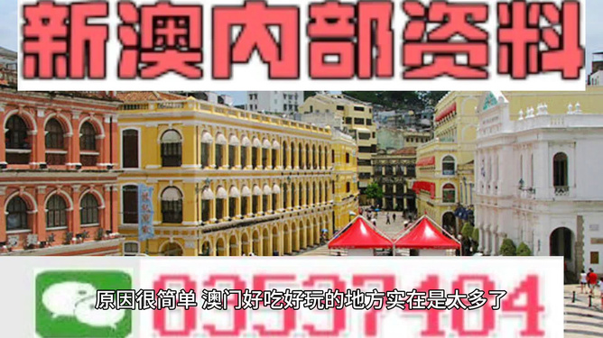 澳門精準(zhǔn)資料大全免費(fèi)，探索與解析，澳門精準(zhǔn)資料大全免費(fèi)解析探索