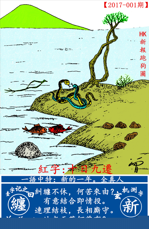 探索全新版跑狗圖，7777788888的魅力與策略，探索全新版跑狗圖，7777788888的魅力與攻略解析