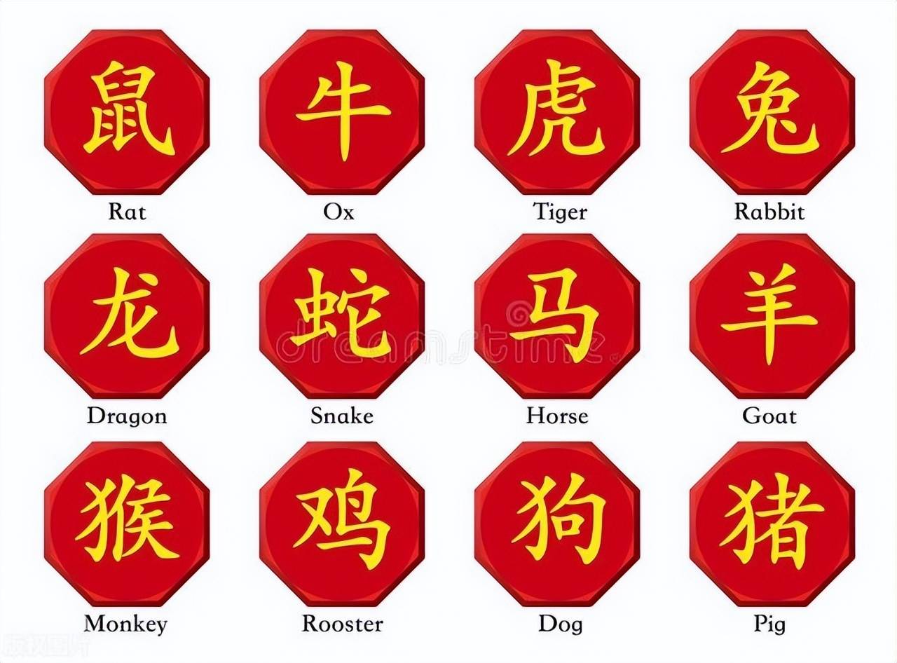 新澳特碼，羊牛虎各數(shù)10——揭秘背后的數(shù)字奧秘，揭秘新澳特碼數(shù)字奧秘，羊牛虎各數(shù)背后的秘密