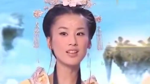 曾道道人資料免費大全，深度探索與解析，曾道道人資料深度解析與免費大全探索