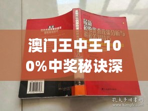 新澳門王中王期期中，探索與解析，新澳門王中王期期中，深度探索與解析
