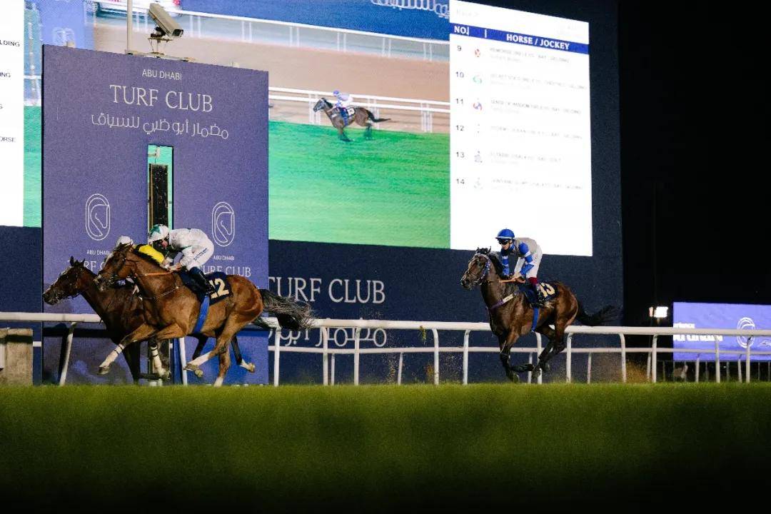 澳門特馬今晚開獎一，探索彩票背后的秘密與期待，澳門特馬今晚開獎，揭秘彩票背后的秘密與期待大獎的激動心情