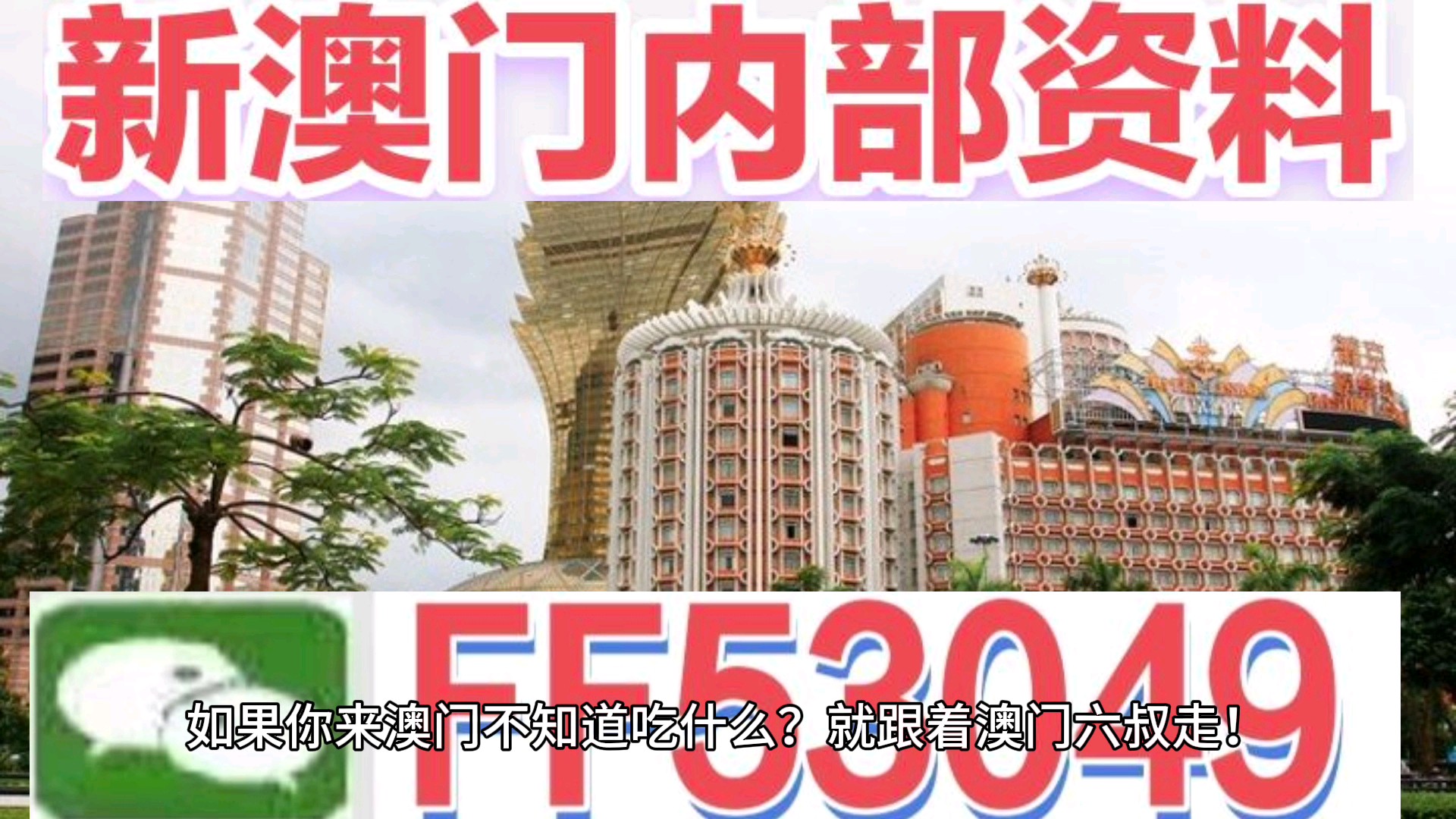 澳門今晚特馬生肖預(yù)測，探尋未來的幸運符號（2025年），澳門生肖預(yù)測揭秘，探尋未來幸運符號（特馬生肖預(yù)測 2025年展望）