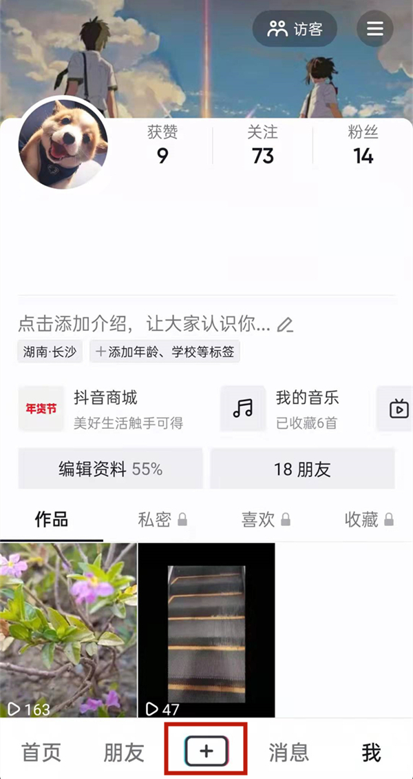 白小姐的精準免費四肖，揭秘背后的秘密，揭秘白小姐精準免費四肖背后的秘密