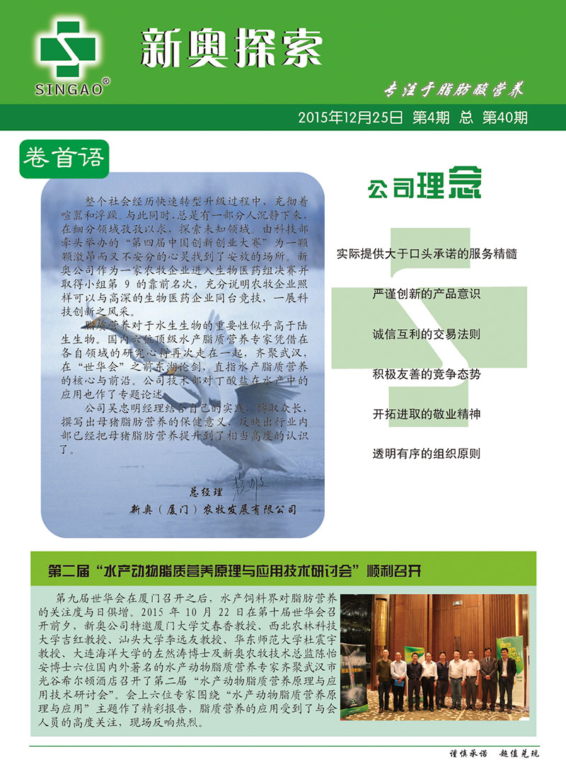 2025新澳正版資料查詢指南，2025新澳正版資料查詢手冊(cè)