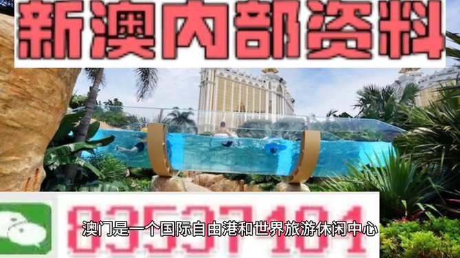 新澳的資料去哪里找——全面指南，新澳資料全攻略，尋找資料的途徑與指南