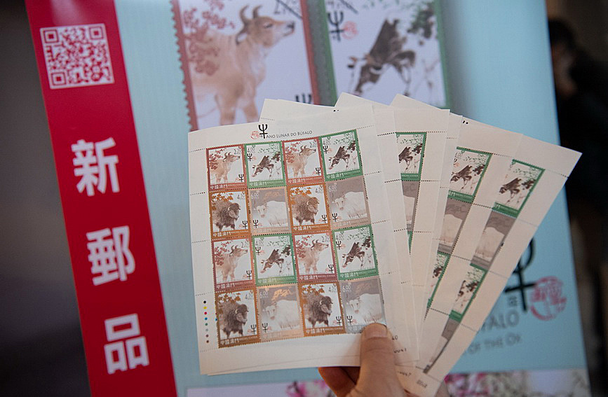 澳門值日生肖600圖庫與八百圖庫開獎，探索生肖圖庫的魅力與奧秘，澳門生肖圖庫開獎揭秘，探索值日生肖600圖庫與八百圖庫的魅力與奧秘