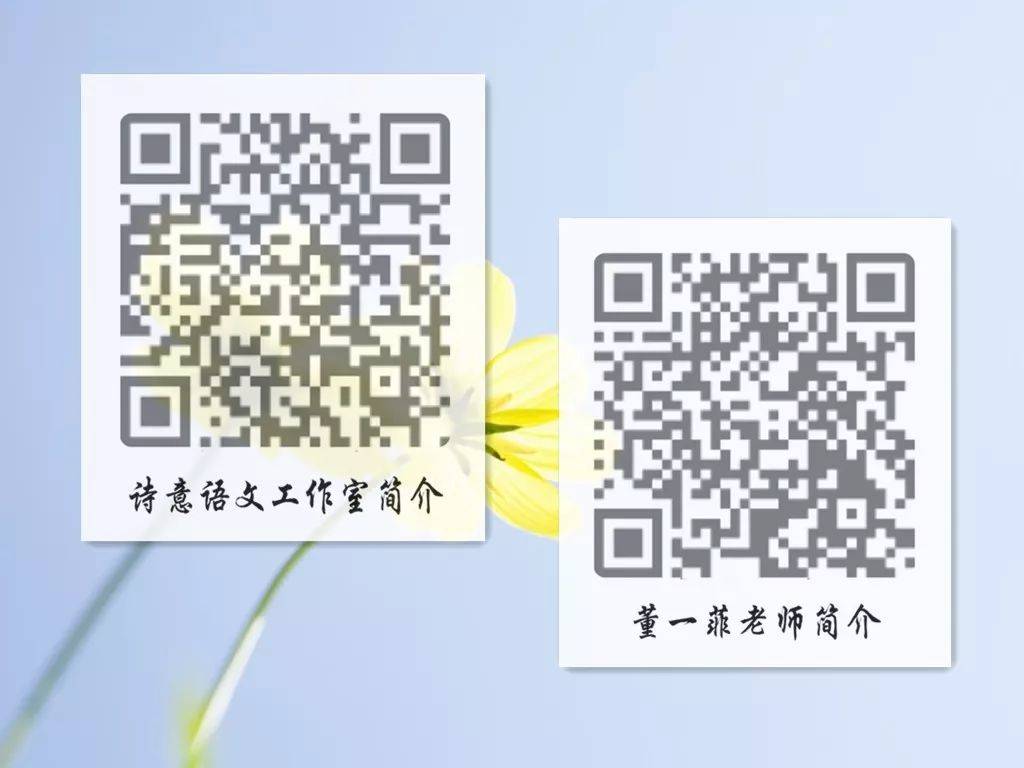一碼一肖一特一，揭秘背后的秘密與獨(dú)特之處，揭秘一碼一肖一特一的獨(dú)特之處與背后秘密