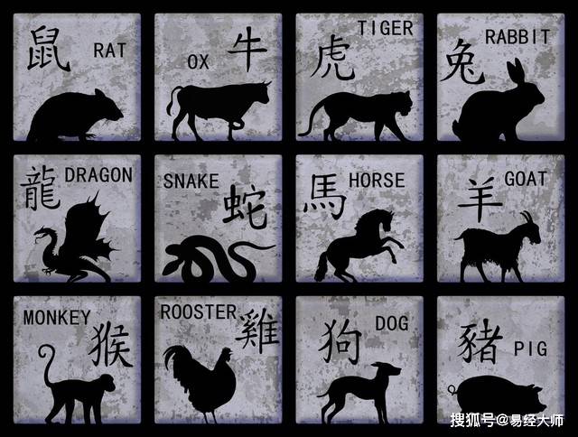 新澳特碼，羊?；⒏鲾?shù)10的獨特魅力與解析，新澳特碼，羊?；⒏鲾?shù)10的獨特魅力深度解析