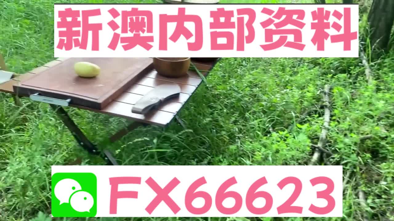 新奧特碼走勢(shì)圖解析與預(yù)測(cè)，新奧特碼走勢(shì)圖解析與預(yù)測(cè)，未來(lái)趨勢(shì)探討