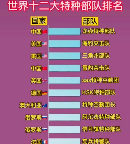 中國(guó)十大王牌特種部隊(duì)，實(shí)力與榮耀的象征，中國(guó)十大王牌特種部隊(duì)，實(shí)力與榮耀的巔峰標(biāo)志