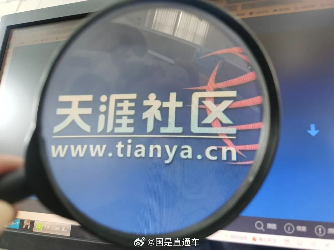 天涯國際觀察，全球視野下的深度分析與洞察，全球深度洞察，天涯國際觀察分析