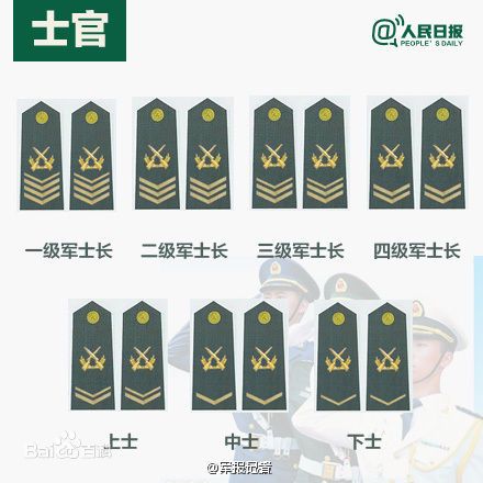 全球各國軍士長軍銜對照表及其重要性，全球各國軍士長軍銜對照表，揭示其重要性