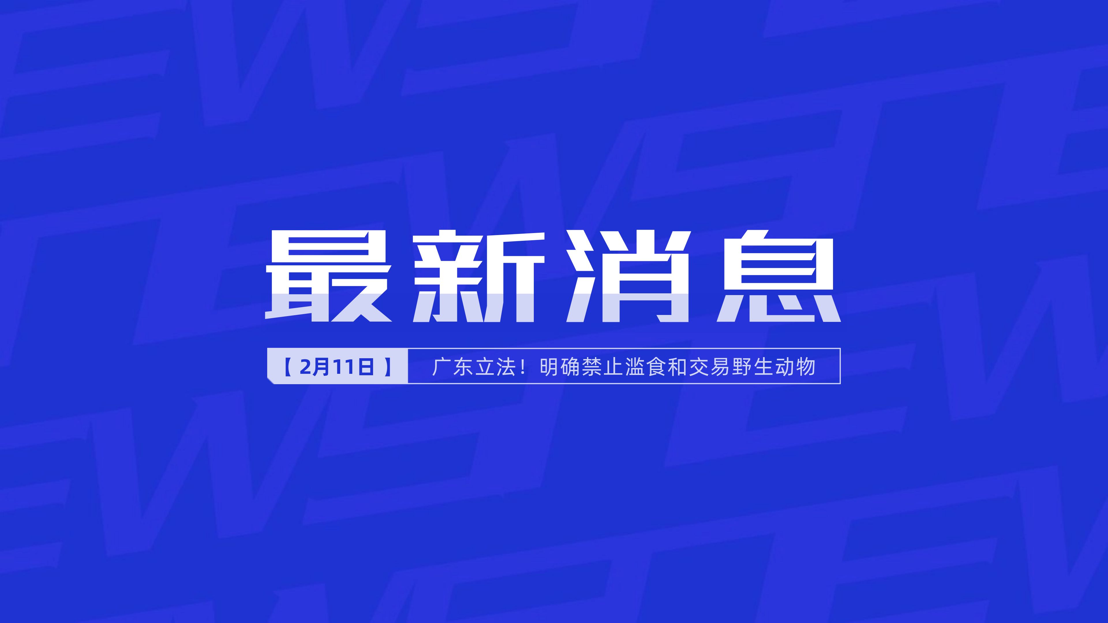 新聞最新新聞，掌握時(shí)事熱點(diǎn)，洞悉世界動(dòng)態(tài)，時(shí)事熱點(diǎn)速遞，掌握全球最新動(dòng)態(tài)新聞