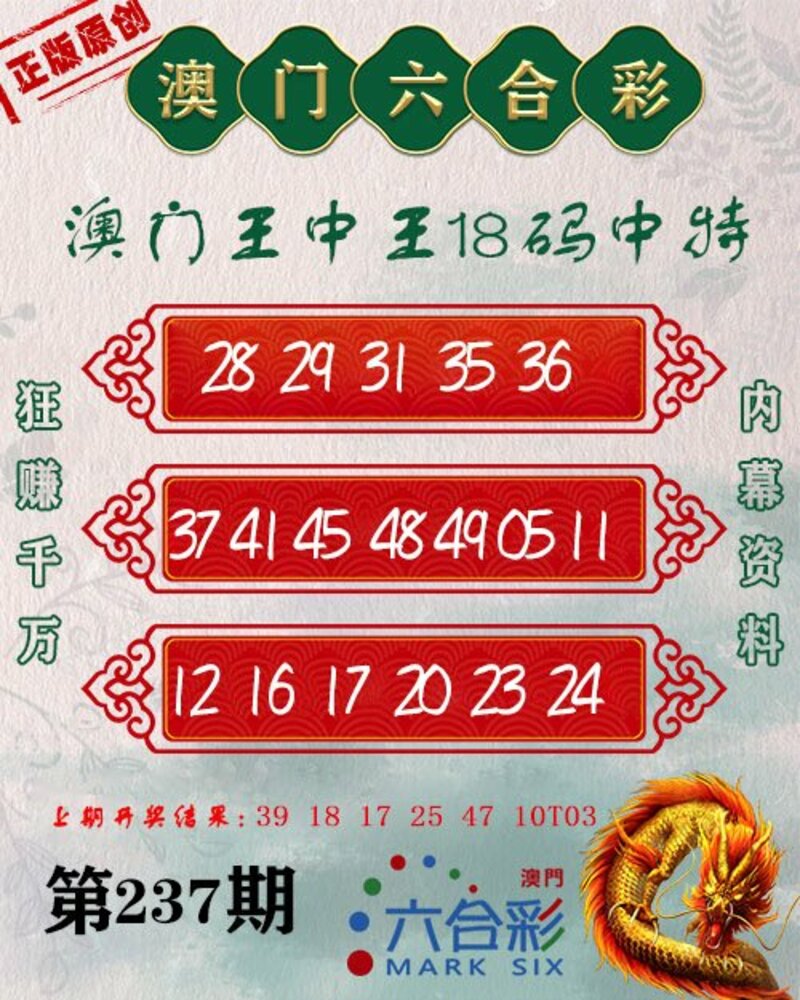 新澳門王中王期期中，探索與解析，新澳門王中王期期中，深度探索與解析