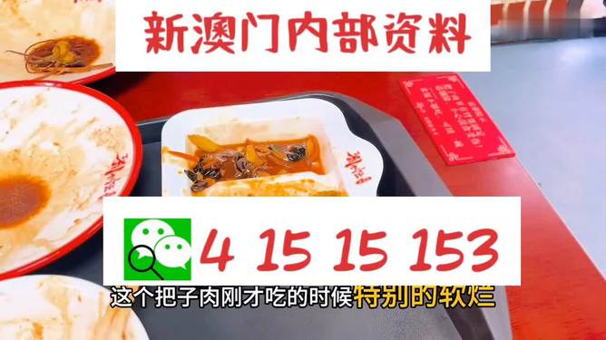 澳門王中王六碼新澳門，探索與解析，澳門王中王六碼新澳門，深度探索與解析
