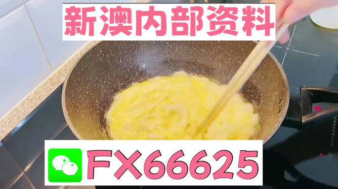 澳門九點(diǎn)半9點(diǎn)半網(wǎng)站——探索與體驗(yàn)，澳門九點(diǎn)半網(wǎng)站，探索與體驗(yàn)之旅