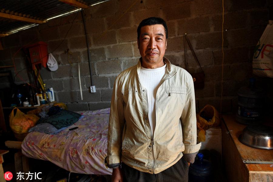 博科圣地組織，深度解析與理解，博科圣地組織深度解析與探究