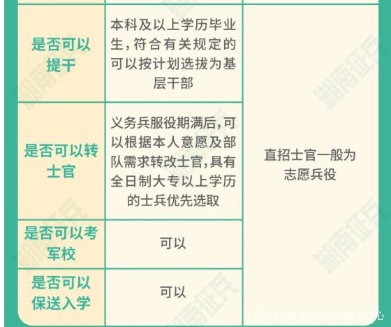 士官直招與義務(wù)兵的區(qū)別，深入了解軍隊(duì)招募制度，直招士官與義務(wù)兵招募制度深度解析，軍隊(duì)招募制度詳解