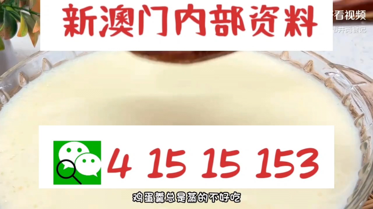 新澳門中特網(wǎng)中特馬，探索與解析，澳門中特馬探索與解析指南
