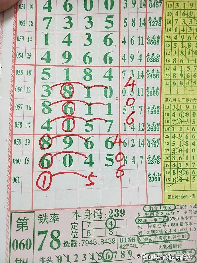 平特肖推算法，探索搜索引擎優(yōu)化的新境界，平特肖推算法，開啟搜索引擎優(yōu)化新境界的探索之旅