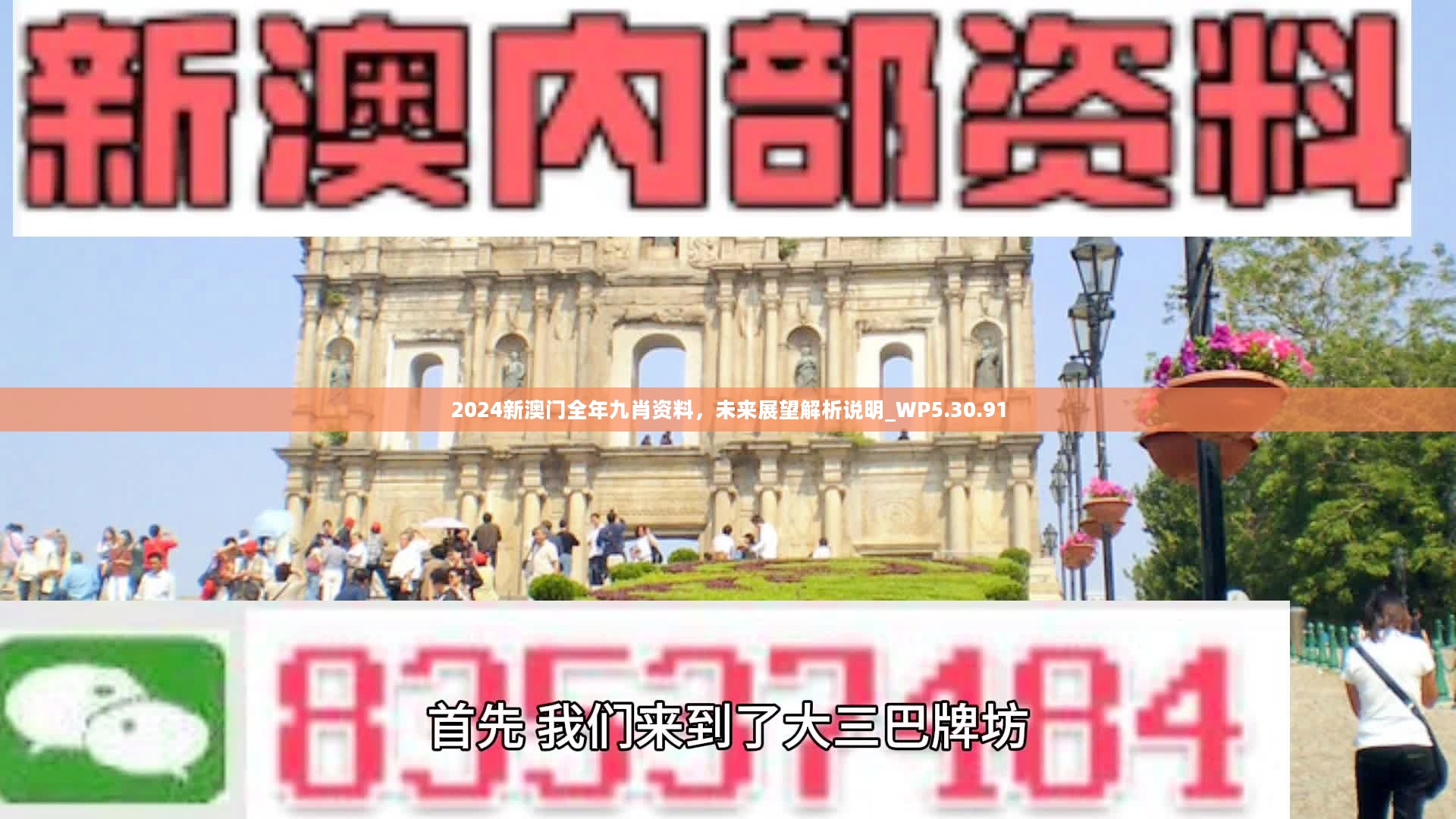 新澳門精準(zhǔn)九肖，揭秘預(yù)測技巧與策略，揭秘新澳門精準(zhǔn)九肖預(yù)測技巧與策略
