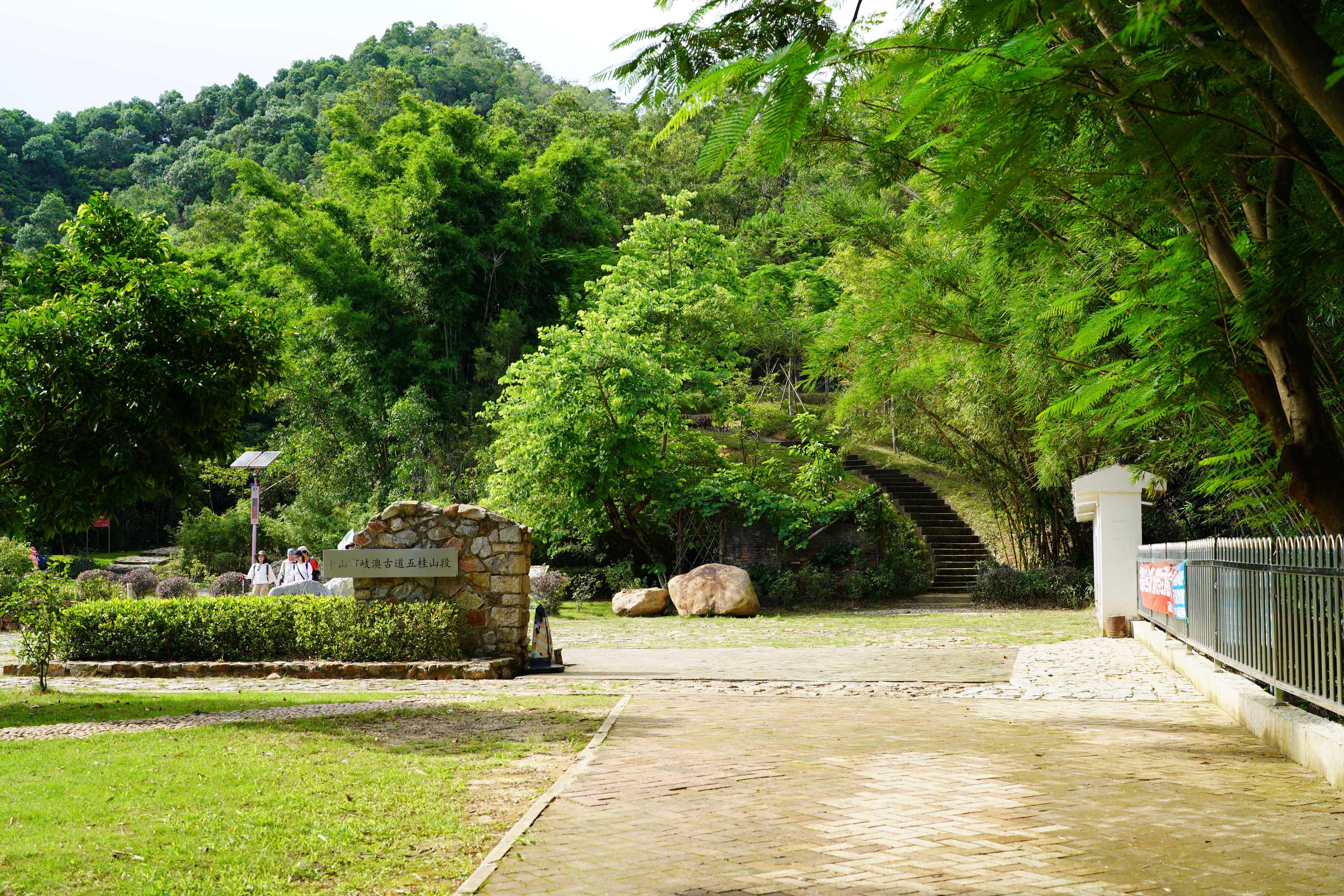 新澳門(mén)波色走勢(shì)圖表大全，深度解析與預(yù)測(cè)，澳門(mén)波色走勢(shì)圖表解析與預(yù)測(cè)大全