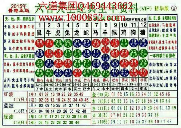 揭秘2024十二生肖49碼表——完整指南，揭秘十二生肖49碼表全攻略，2024年最新版指南