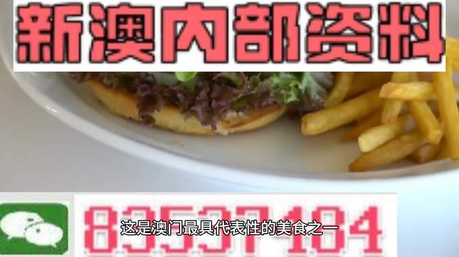 新澳2024生肖最新資料解析與預(yù)測，新澳2024生肖解析與預(yù)測報(bào)告