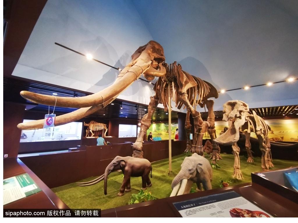 北京必去的十大博物館——探尋千年文化的精華之旅，北京必游十大博物館，千年文化精華之旅探尋記