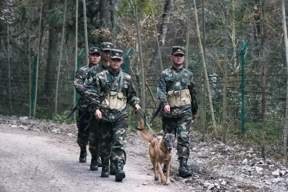火箭軍是否都在大山之中？解析火箭軍的駐扎環(huán)境與任務特點，火箭軍的駐扎環(huán)境與任務特點解析，大山之中還是多元布局？