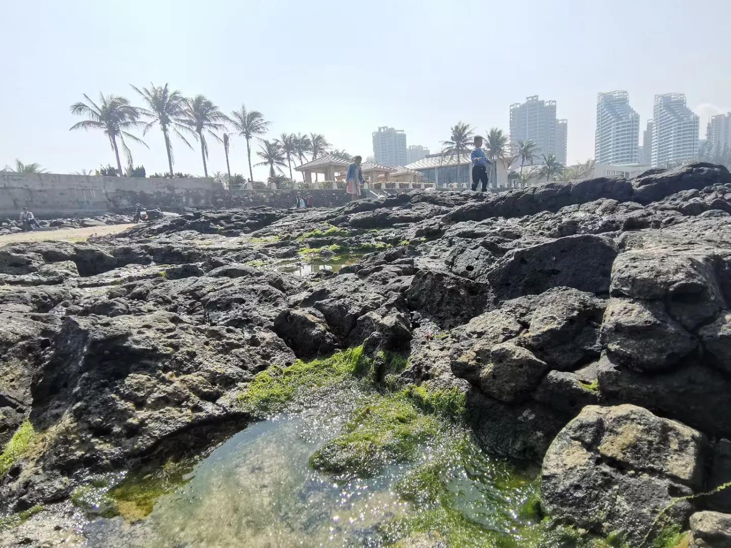 解放海南島電視劇全集下載，探尋30集完整劇情，解放海南島電視劇全集下載，探尋完整的30集劇情探索