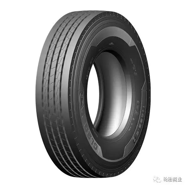 王中王295期指一生肖，揭秘生肖運勢與預測背后的秘密，揭秘生肖運勢預測，王中王295期生肖運勢背后的秘密探索