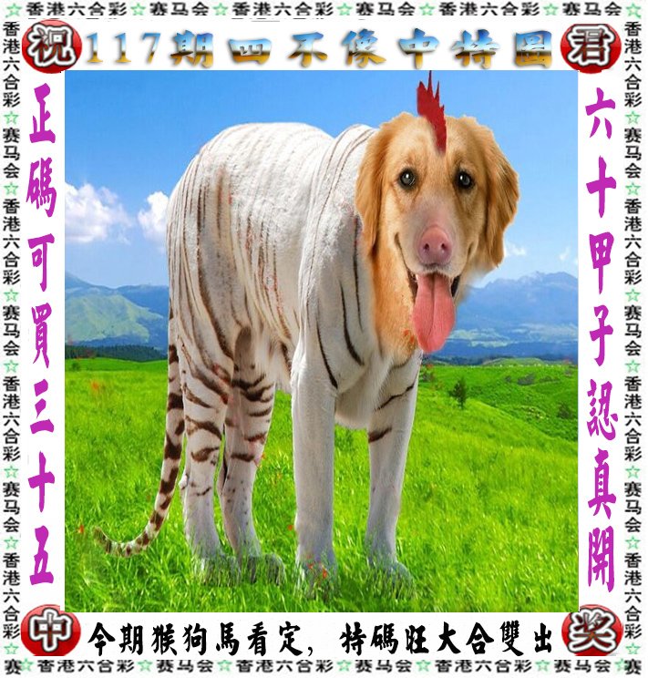 王中王四不像一肖論壇，探索神秘論壇的世界，王中王四不像一肖論壇，神秘論壇世界的探索之旅