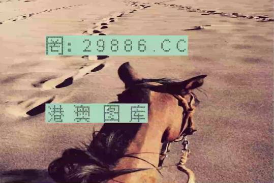 香港特馬資料王中王24期，深度解析與探索，香港特馬資料王中王深度解析與探索，第24期探索之旅