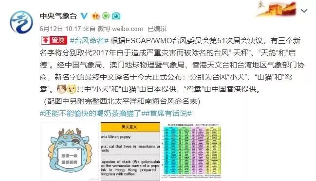 新澳門必中三肖三碼三期必開劉伯，揭秘彩票背后的秘密與策略，揭秘彩票背后的秘密與策略，劉伯的新澳門三期必開三肖三碼預(yù)測(cè)技巧
