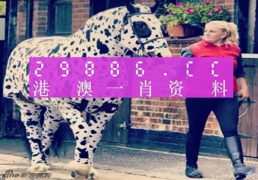 香港網(wǎng)址王中王一肖中特，探索與解析，香港網(wǎng)址王中王一肖中特，深度探索與解析