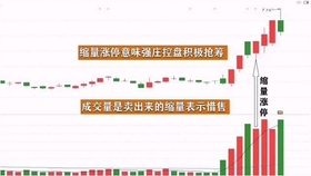 王中王一肖平碼，揭秘背后的故事與SEO策略，王中王一肖平碼背后的故事與SEO策略揭秘