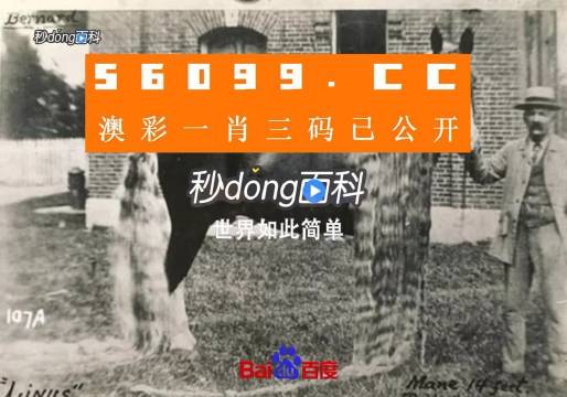 澳門(mén)王中王心水王中王，探索與解析，澳門(mén)王中王心水奧秘，深度探索與解析