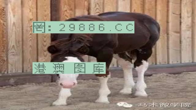 揭秘446999一肖中特馬之秘密，掌握中獎(jiǎng)玄機(jī)！，揭秘特馬中獎(jiǎng)玄機(jī)，446999一肖中的秘密大揭秘！