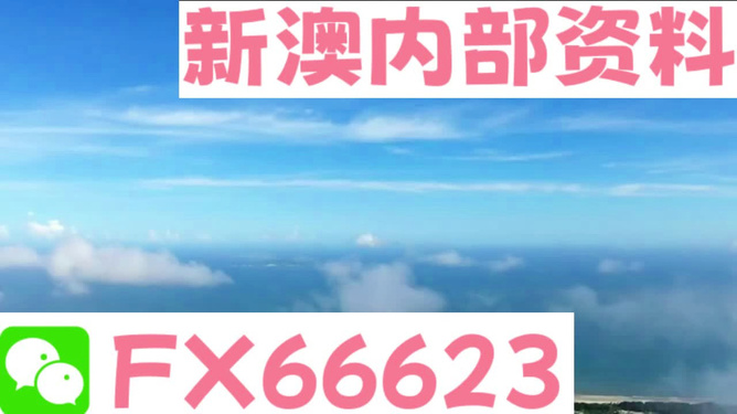 新澳內(nèi)部免費(fèi)爆料，深度探索未知的秘密，新澳內(nèi)部揭秘，深度探索未知的秘密