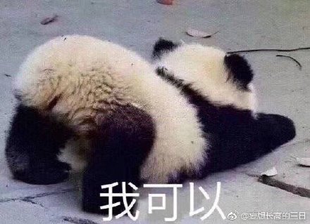 澳門精準四不像最新正版，揭秘與探索，澳門精準四不像揭秘與探索最新正版資訊