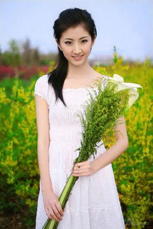 新澳門生肖走勢圖精準(zhǔn)版，解讀與SEO策略，新澳門生肖走勢圖精準(zhǔn)解讀與SEO策略揭秘
